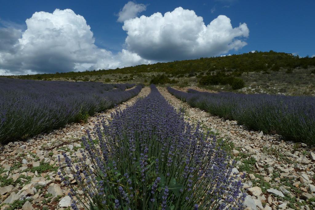 Gites Chameyer Rosans ภายนอก รูปภาพ